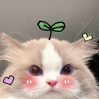 :)