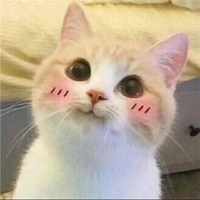 Tác Giả