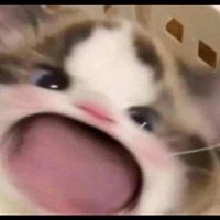 t/g vô tri