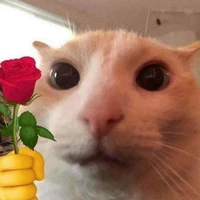 H/t MeoMee