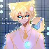 anti catnap