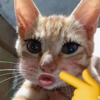 dựt bot trước mặt top luôn nò🥰