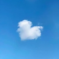 nhỏ tác giả này lười