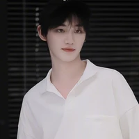 Đinh Trình Hâm (em)