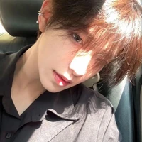 Hoắc Vũ Song Tử ¹⁷