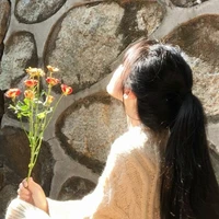 Pidorlla (quỷ tác giả)