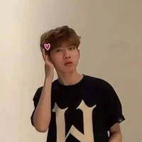 Nguyễn Hữu Đạt(phoenix)