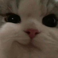 Nhỏ Tg