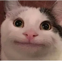 t/g