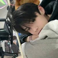 Lưu Giai Lương (em)