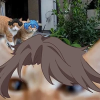 Đa nhân vật👁️👄👁️