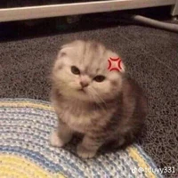 (t/g) Zyy