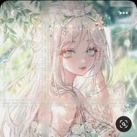 y/n