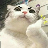 mấy tên thiếu gia còn lại
