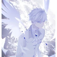 Management Aliceville Kiyoshi/001