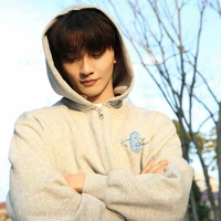 Thẩm Diên (Trần Tổng)