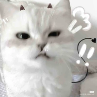 Hệ thống_Mao