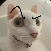 Chấp hết cả thiên hạ:))) 