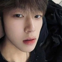 Hàn Văn Húc - Andrew Holt