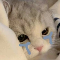 Tác giả hướng tào lao 😒