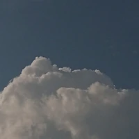 T/G