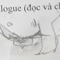 ai đó