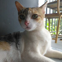 Muối ngọt ^^
