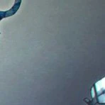 all