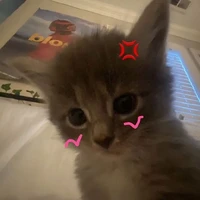 tổng hợp nv nữ