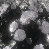 tổng hợp tất cả ( -ai thừ trừ )