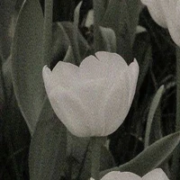 nv bí ẩn