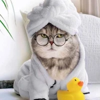 Miêu Phú Gia - Linh sủng