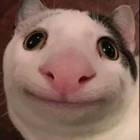 Zô tri:)