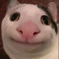 Zô tri:)