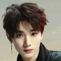 Đinh Trình Hâm