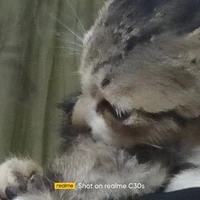 lại là cá đâyyyyy