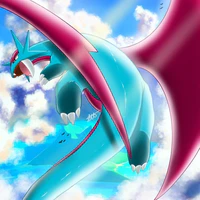 Salamence/Sahiro