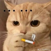Nhân vật phụ