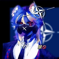 North Atlantic Treaty Organization