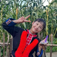 Puu