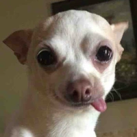 Tác giả cuteoo