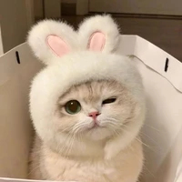 Lixeu
