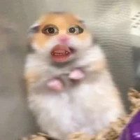 Kiju ( tác giả bệnh lười)