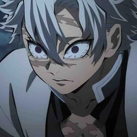 Shinazugawa Sanemi