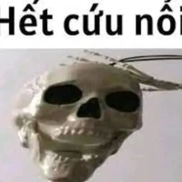bó m nghiện ma túe :) 🍥