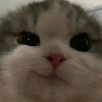 ý thức thế giới