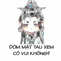 Sư Vô Độ ko vui 