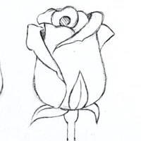 t/g