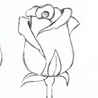 t/g