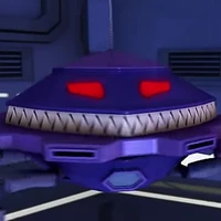 Probe
